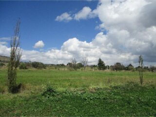 Imagen-1