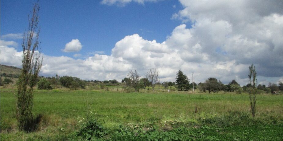 Imagen-1