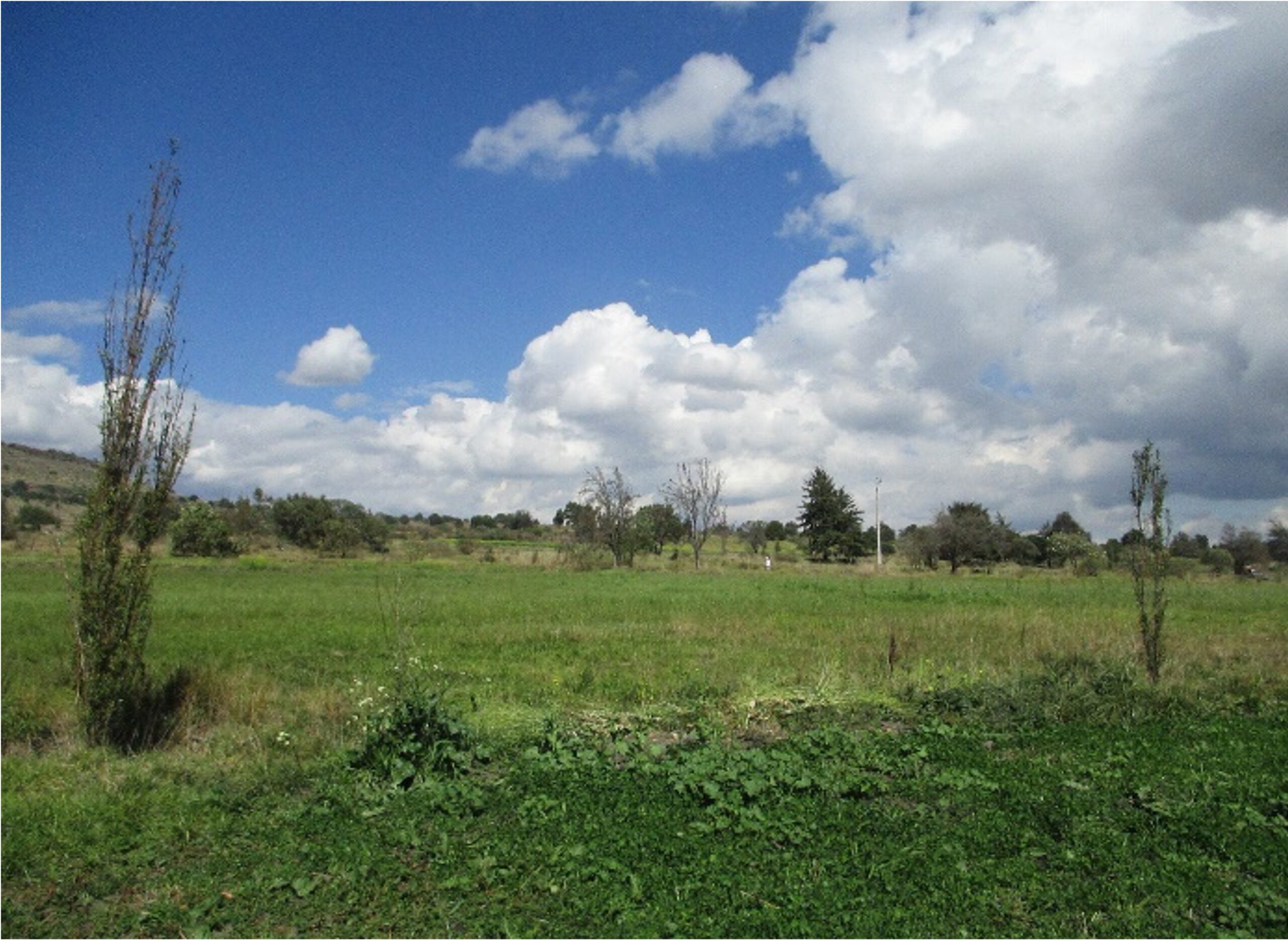 Imagen-1