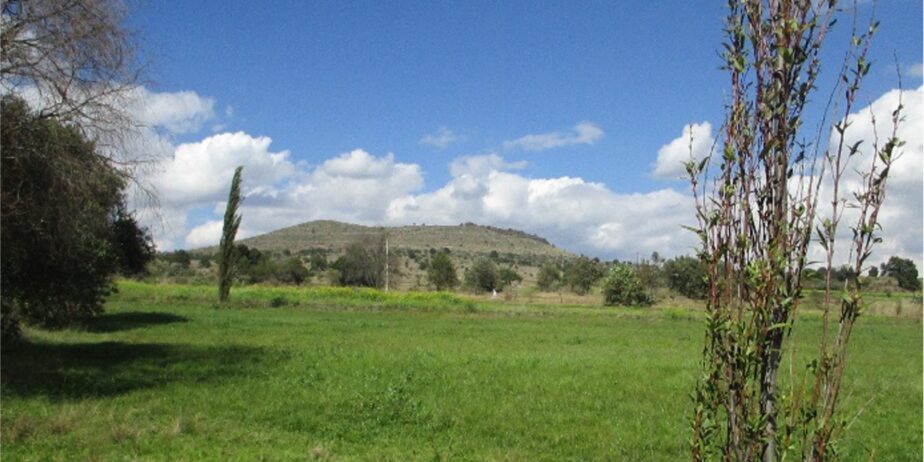 Imagen-2