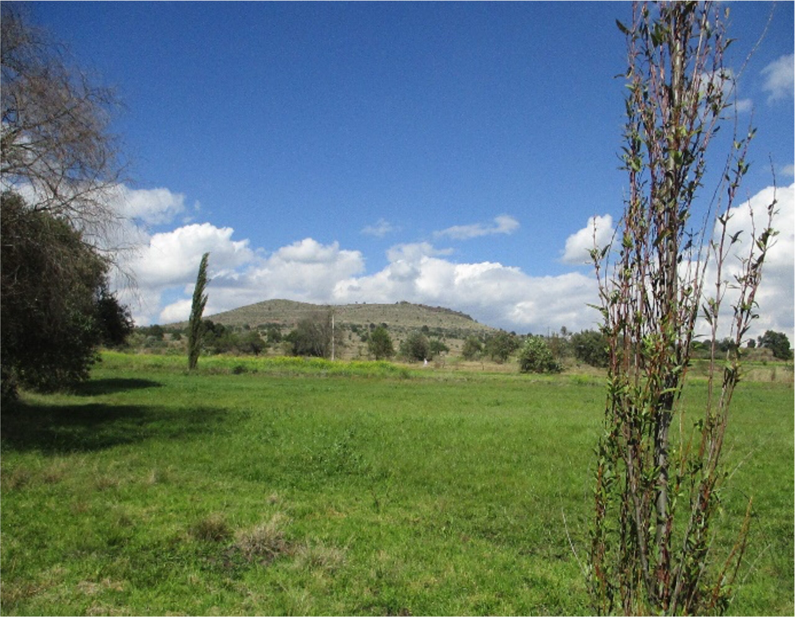 Imagen-2