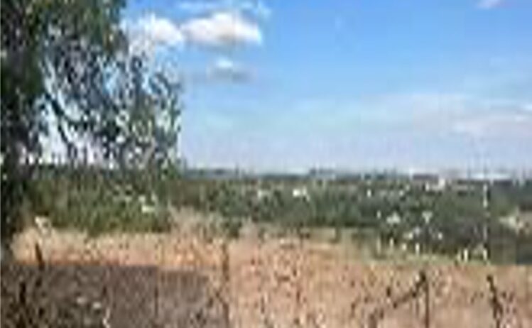 aaa