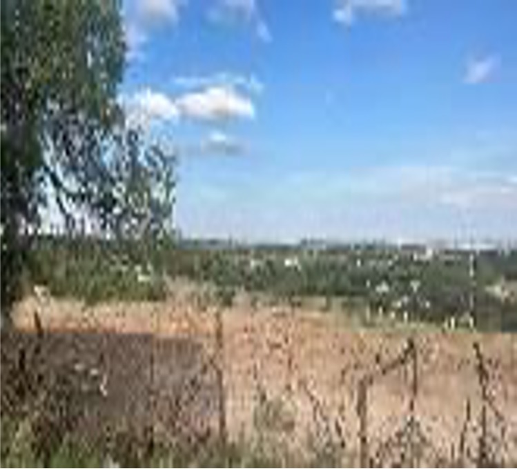 aaa