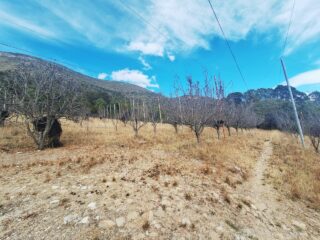 WhatsApp-Image-2026-01-20-at-10.50.34-AM-1