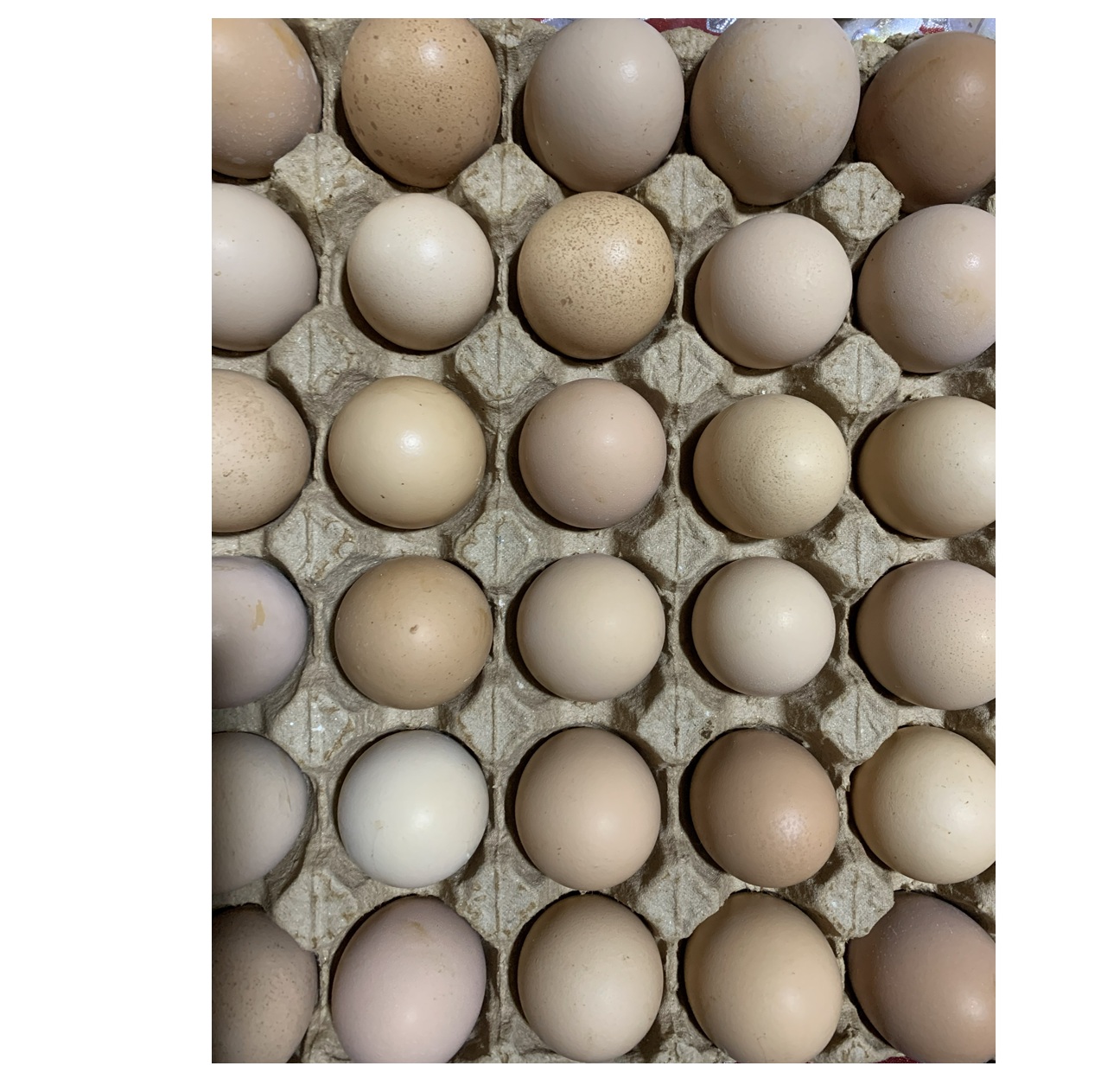 HUEVO DE RANCHO NATURAL Entregas en Amealco y San Juan del Río